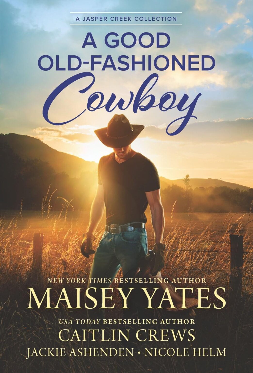 unbroken cowboy maisey yates